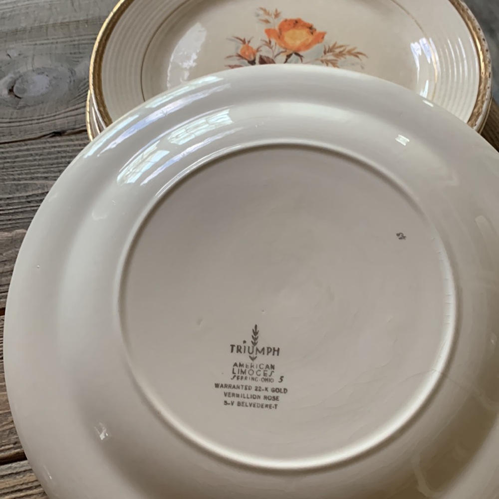 Triumph plates - Picture 4 of 4
